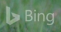 Водяной знак галереи Bing